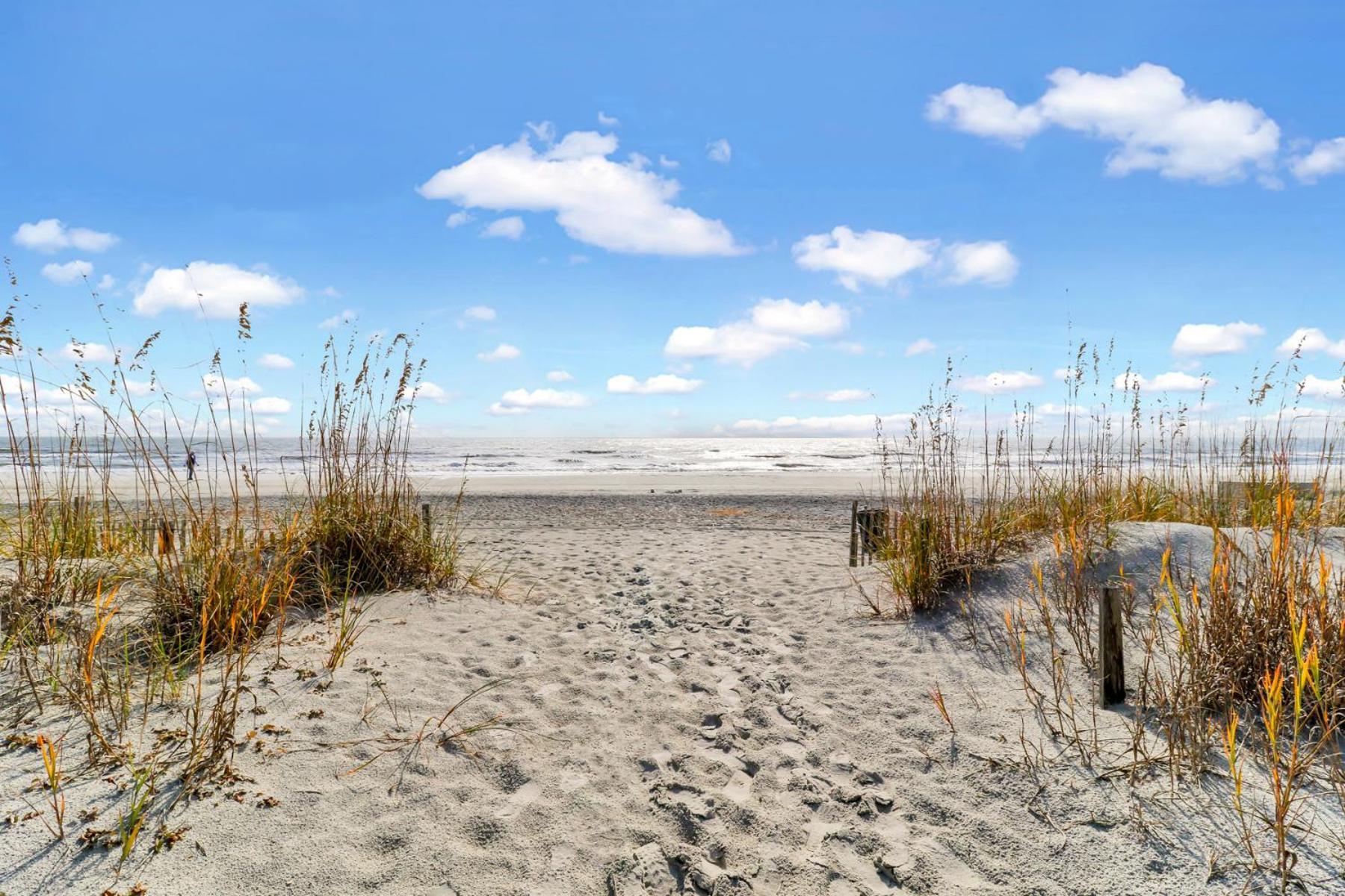 The Breakers #220 Beach Condo, Beautiful Ocean View At Coligny Beach, 4 N Forest Beach Drive Hilton Head, Walk To All Shops Restaurants, Renovated Jan 2024, Vacation Rental Hhi Llc ฮิลตันเฮดไอส์แลนด์ ภายนอก รูปภาพ